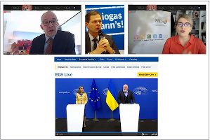 Screenshot Online-Gespräch Bund / EU