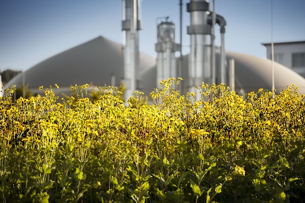 AGRARINNOVATIONEN HAHNENNEST GmbH