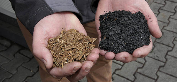 German Biochar e.V.